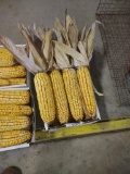 1 Box Of Corn W/ Husk