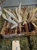 1 Box Of Indian Corn