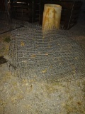 100ft Fencing