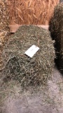 1 Bale 3rd Alfalfa Timothy