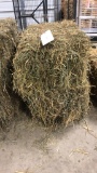 2 Bales 3rd Alfalfa Timothy