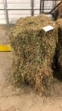 2 Bales 3rd Alfalfa Timothy