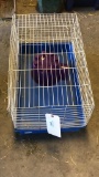 Blue Bottom Guinea Pig Cage