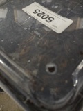 Captive Bred Ornate Wood Turtle