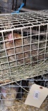 Light Brown Dutch Banty Hen
