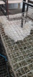 Porcelain White Pullet