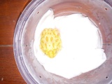 Albino Pacman Frog