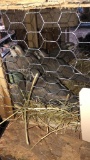 5 Chukar Partridge - Permit