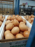 8 Doz Basket Large Brown Eating Eggs