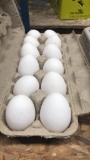 1 Doz Large White Eating Eggs
