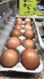 1 Doz Large Brown Eating Eggs