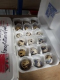1.5 Doz Fertile Coturnix Quail Eggs
