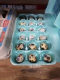 1.5 Doz Fertile Coturnix Quail Eggs