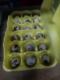 1.5 Doz Fertile Coturnix Quail Eggs