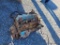 Jeep 304 V8 Engine