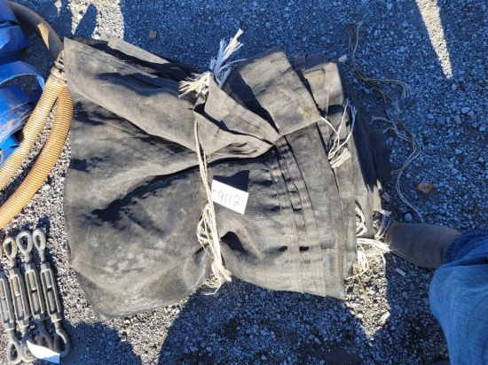 Tarp
