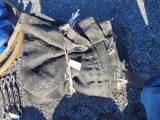 Tarp