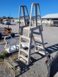 Pool Ladder