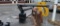 Hydraulic Crane