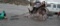 1800 Original Draft Horse Cart - Has Key For Bed