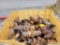 Skidof Hammer Lock Fittings
