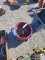 Bucket W/ Nut Drivers & Screwdrivers