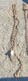 Log Chain