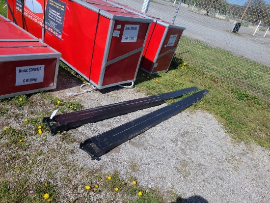 Pair 10' Fork Extensions