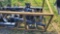 Skid Steer Auger Attachment w/ 2 Bits
