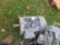 Large Electric Motor