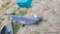 LandHonor Trailer Hitch Attachment