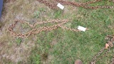 Chain