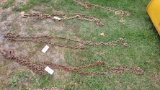 Chain