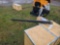 6' Push Pole
