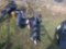 Wolverine Mini Skid Loader Auger Attachment w/ 12