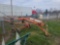 Kverneland Taarap 9042T 11' Rotary Hay Rake
