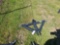 Wolverine 3pt Trailer Hitch Adapter
