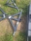 Wolverine 3pt Trailer Hitch