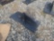 Landhonor Trailer Hitch Attachment