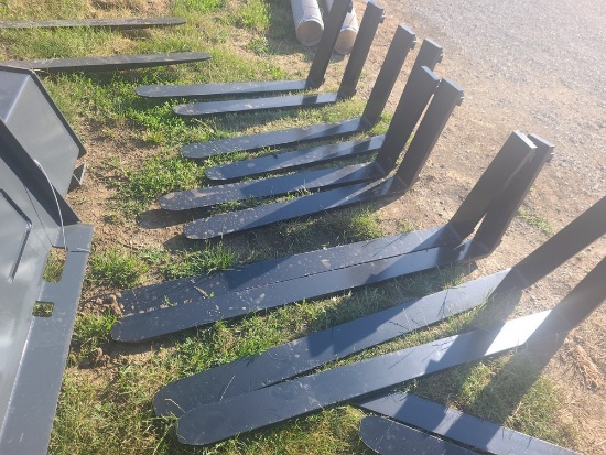 Pair 60" Forks