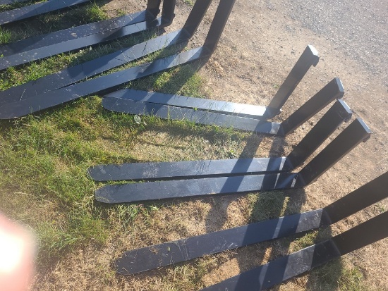 Pair 48" Forks