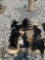 Mini Excavator Attachment