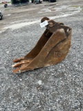 Cat 12