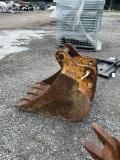 Cat 24