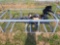 Wolverine Auger Att. W/ 12