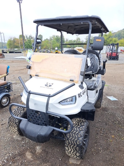 Raccoon RC-G4.0  4 Seater Electric 60v Golf Cart