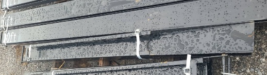 Pair 7' Fork Extensions