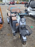 Raccoon RC-G3.0 2 Seater Electric Scooter