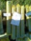 Land hero 80mm x 550mm universal bucket pins (4)