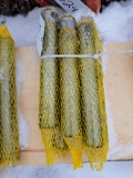 Universal bucket pins 30mm*200mm